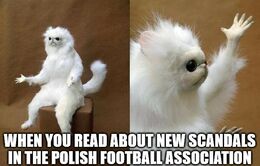 You read memes