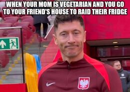 Vegetarian memes