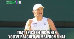 Wimbledon final memes