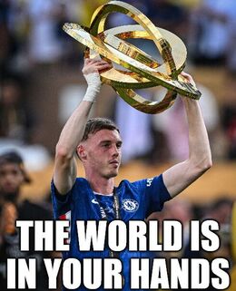 The world memes