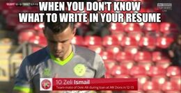 Resume memes