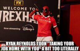 Reynolds memes