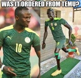 Ordered from temu memes