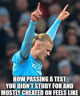 Passing a test memes