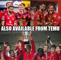 From temu memes