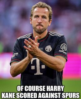 Course harry memes