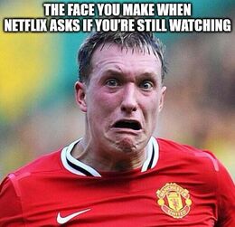 Netflix asks memes