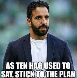 Stick to memes