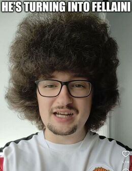 Fellaini memes