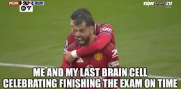 Brain cell memes