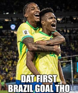 Brazil goal memes