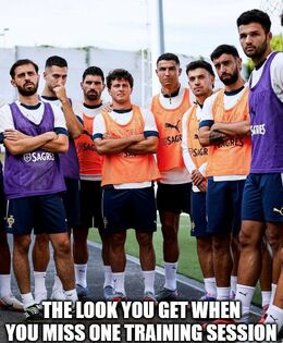 One training session memes