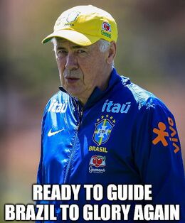 Guide brazil memes
