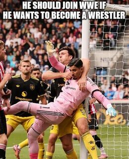 A wrestler memes