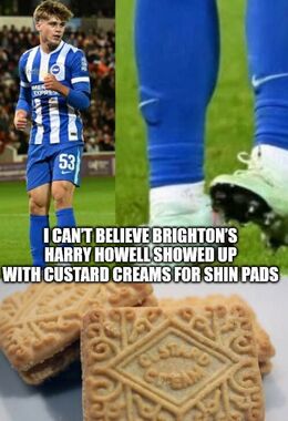 Custard memes
