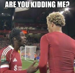 Kidding me memes