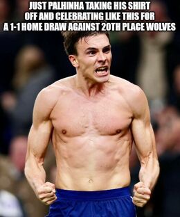 Place wolves memes