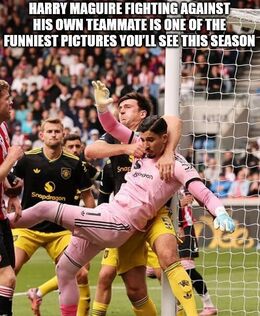 See this season memes