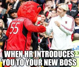 When hr memes
