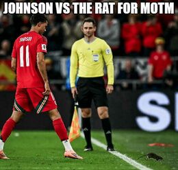 Vs the rat memes