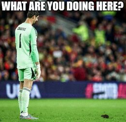 Doing here funny memes