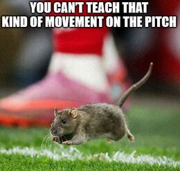 Kind of movement memes