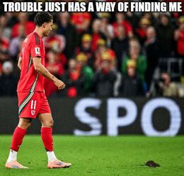 Finding me funny memes