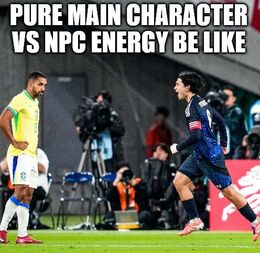 Vs npc memes