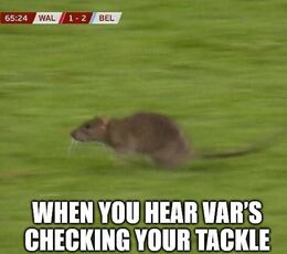 Vars memes