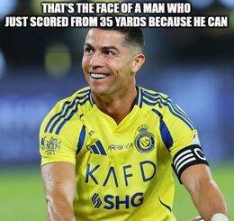 Yards memes