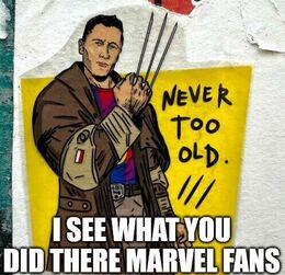 Marvel fans memes