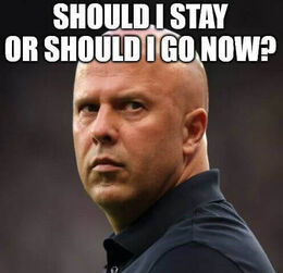 Stay or should memes