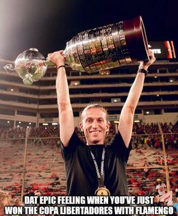 Libertadores memes