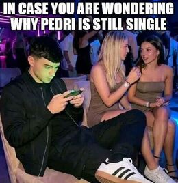 Why pedri memes