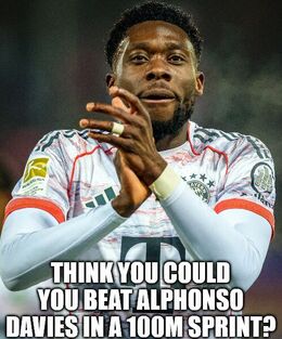 Alphonso memes