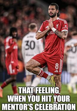 Mentors memes