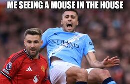 Mouse memes