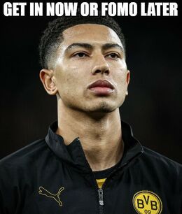 Fomo memes