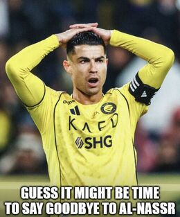 To say goodbye memes