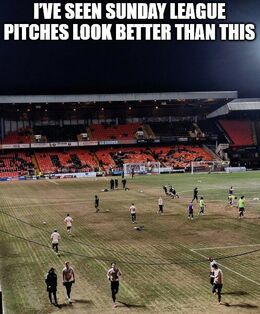 Look better than memes