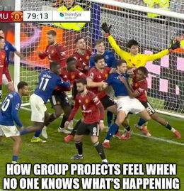 Projects feel memes