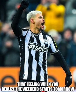 Starts tomorrow memes