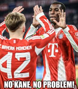 No kane memes