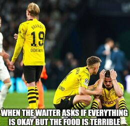 Explains the joke memes