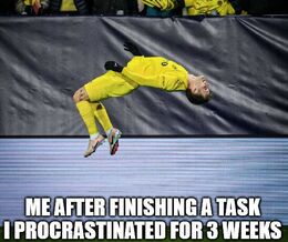 Procrastinated memes