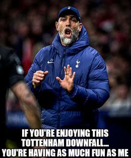Tottenham downfall memes