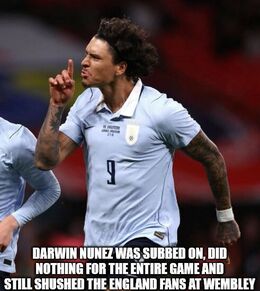 Fans at wembley memes