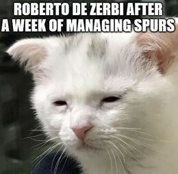 Roberto memes