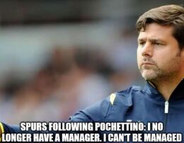Pochettino memes
