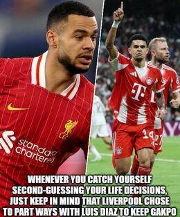 Second guessing memes